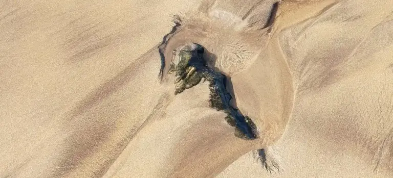 Abstract beige and blue painting of a hand grasping a small object.