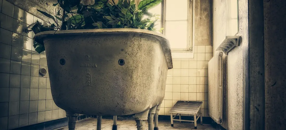 A vintage metal claw-foot bathtub in a small tiled bathroom with a plant on the rim and sunlight streaming through a window.