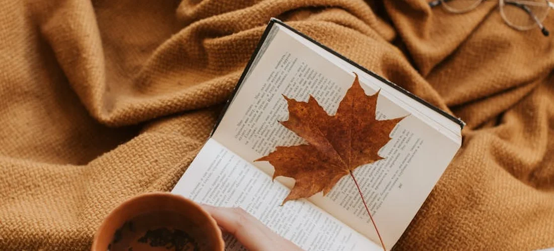 Autumn scene: a dried maple leaf rests on an open book on a brown blanket, with a warm mug nearby, creating a cozy, warming mood