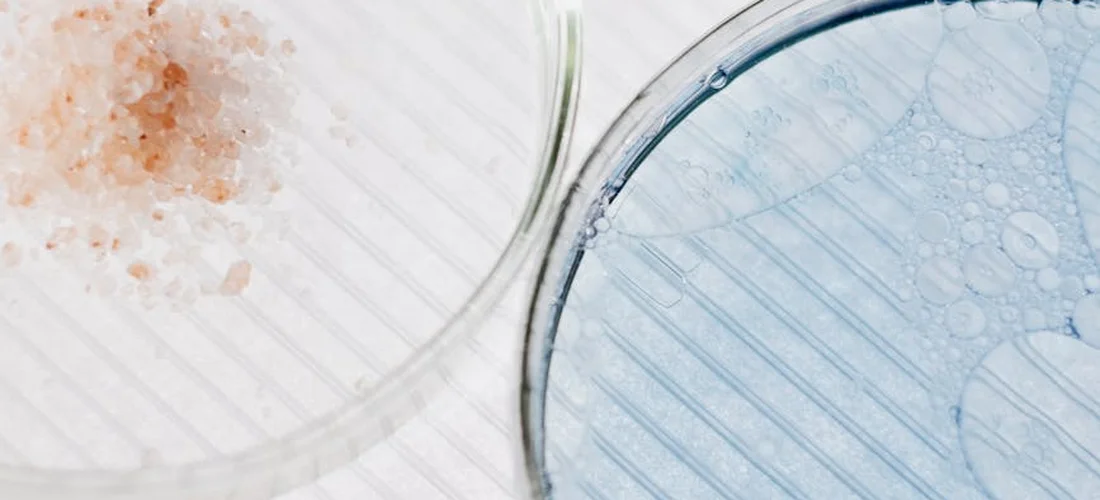 Close-up of two glass dishes; one contains pink crystalline particles, the other blue liquid with bubbles, illustrating chemical interactions.