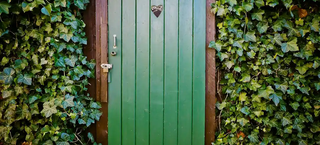 Green door framed by thick ivy on both sides, creating a living privacy screen.