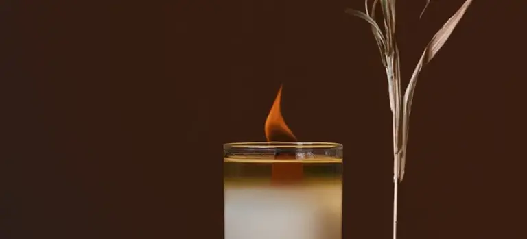 A glass candle with a small flame and a dried reed diffuser against a dark brown background.
