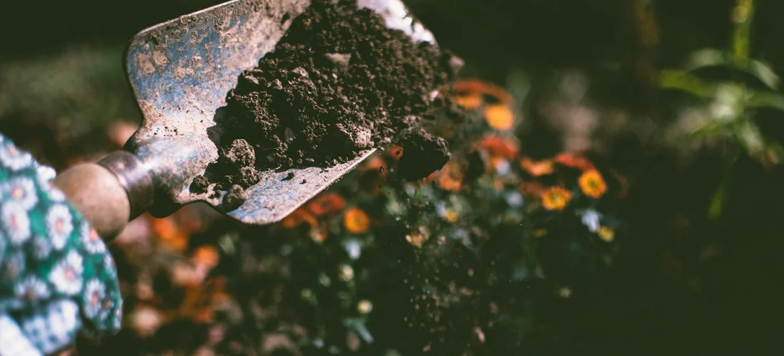 Gloved hand holding a shovel with dark soil, with blurred garden flowers in the background