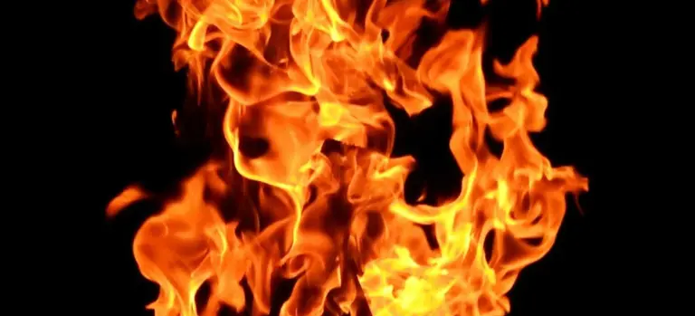 Close-up of bright orange flames dancing against a dark background.