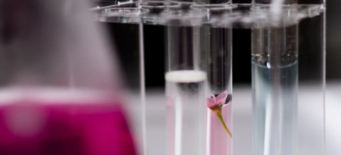 Close-up of glass test tubes with pink liquid in a laboratory setting, representing precision liquid test kits for hot tub water testing.