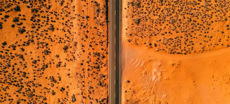 Close-up of an orange, textured surface with dark speckles and a thin vertical seam running through the center.