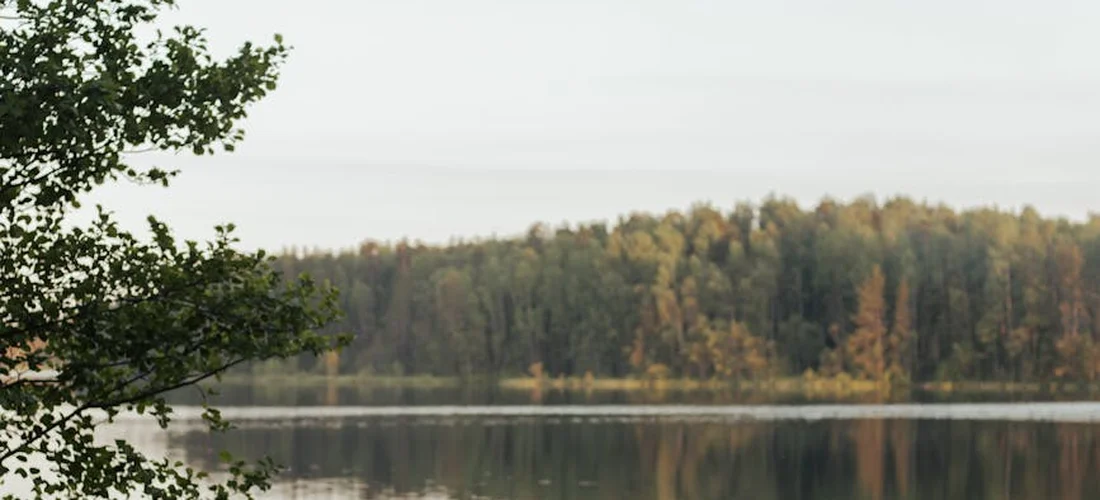 A tranquil lake with a tree-lined shore in the distance and a branches framing the left foreground.