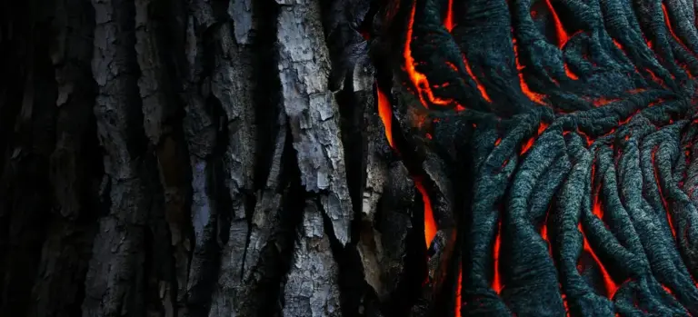 Close-up of dark, charred texture with glowing orange lava-like embers.