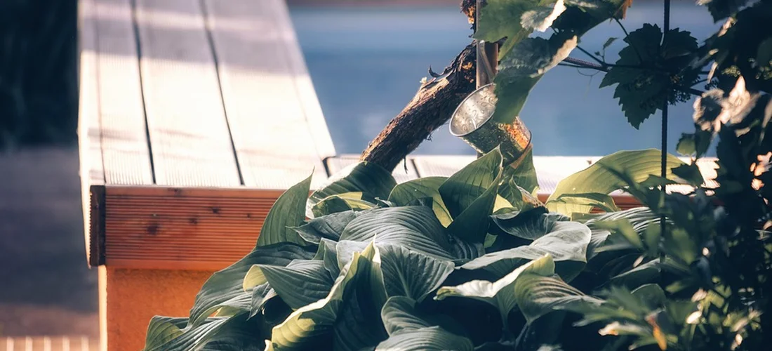 Wooden deck railing with large green tropical leaves in the foreground, suggesting an outdoor spa area.