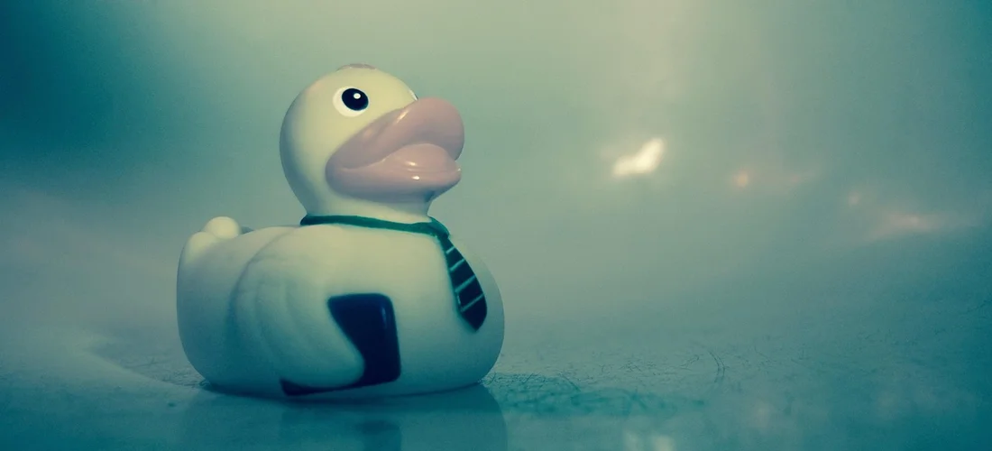 White rubber duck wearing a black striped tie floating on blue water