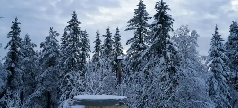 Snow-covered evergreen trees in a forest with a partially visible hot tub in the foreground.