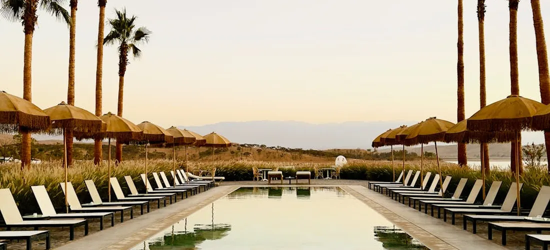 Outdoor pool area with rows of lounge chairs and umbrellas along a rectangular pool, framed by tall palm trees.