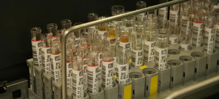 Rows of labeled glass test tubes in a laboratory rack used for water chemistry analysis