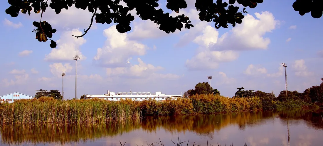 A tranquil lake with tall reeds along the shore, a distant building on the horizon, and a blue sky with scattered white clouds; tree branches frame the top of the scene.