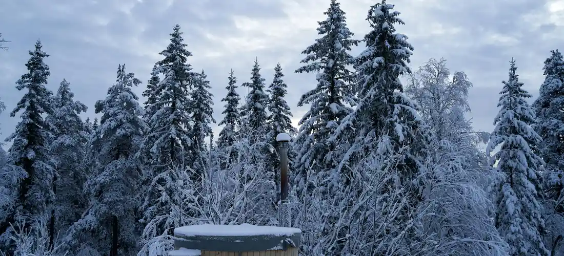 Snow-covered evergreen trees in a forest with a wooden hot tub in the foreground.
