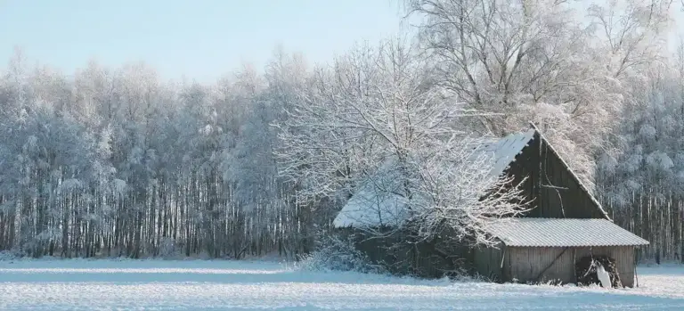 A snow-covered wooden shed in a field with snow-dusted trees in the background.
