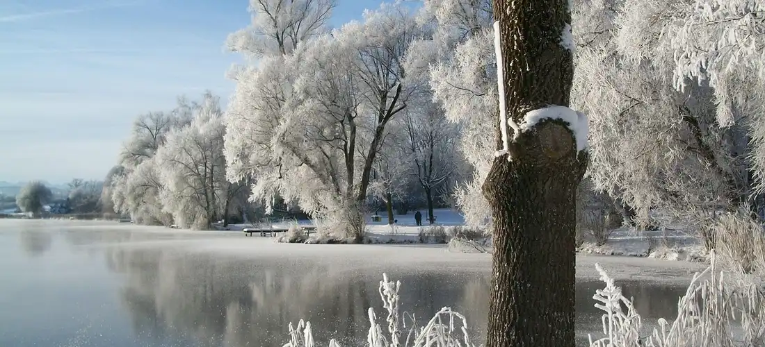 Snowy winter landscape with frost-covered trees along a frozen lake.