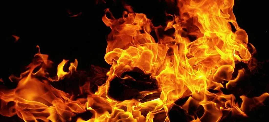 Close-up of bright orange flames licking wood in a dark fire chamber